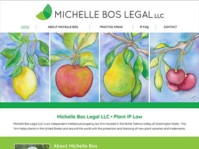 Law Firm Website design for Michelle Bos Legal LLC