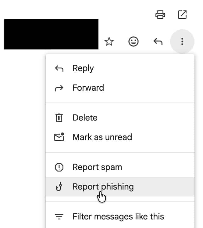 Report Phishing Google